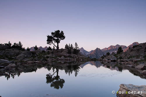 04_-_aiguestortes_amanecer_amitges_arbol_estany_lago_montana_paisaje_pirineos_reflejo
